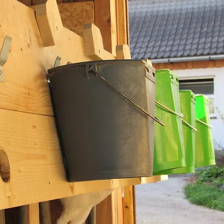 Breitenbaumer בית חווה