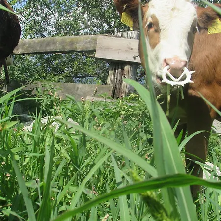 Breitenbaumer Фермерский дом *