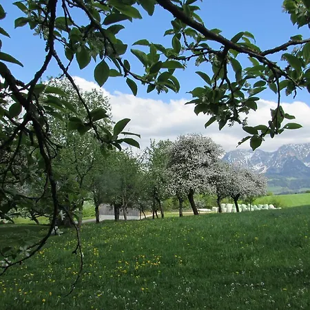 Feriegård Breitenbaumer Spital Am Pyhrn
