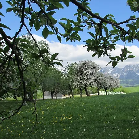 Bauernhof Breitenbaumer Spital Am Pyhrn