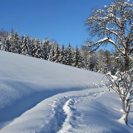 Фермерский дом Breitenbaumer Шпиталь-ам-Пихрн