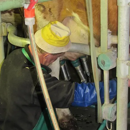 Фермерский дом Breitenbaumer