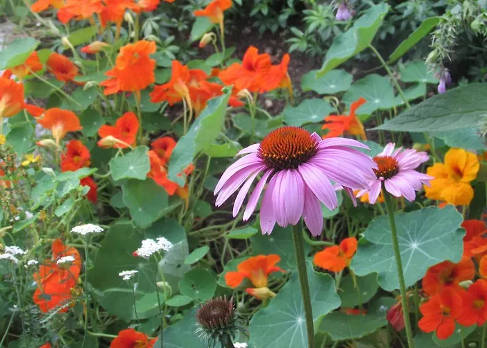 Breitenbaumer Farmház