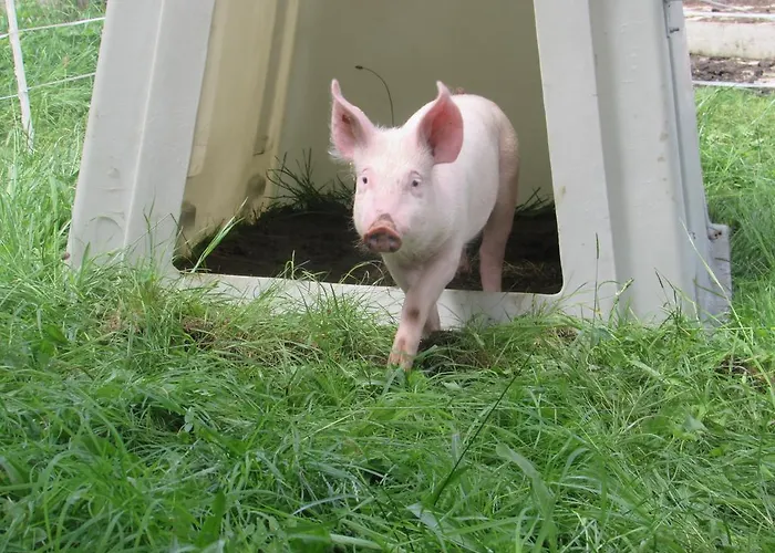 Farmház Breitenbaumer