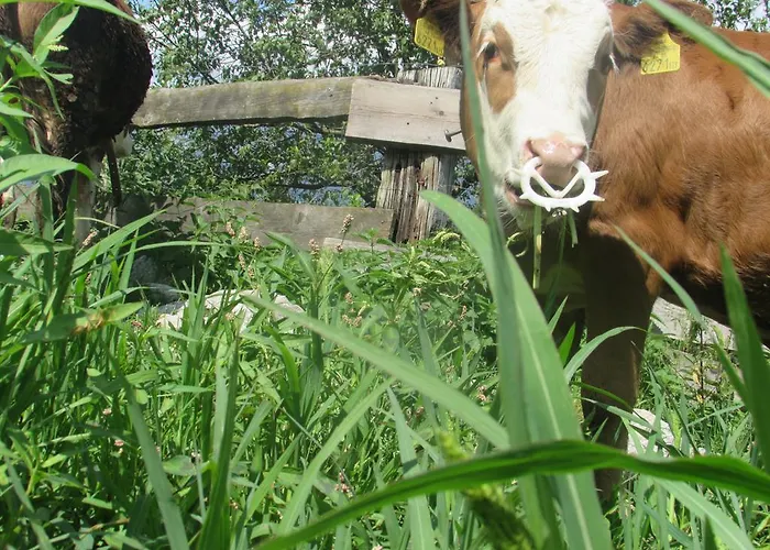 Breitenbaumer Farmház *