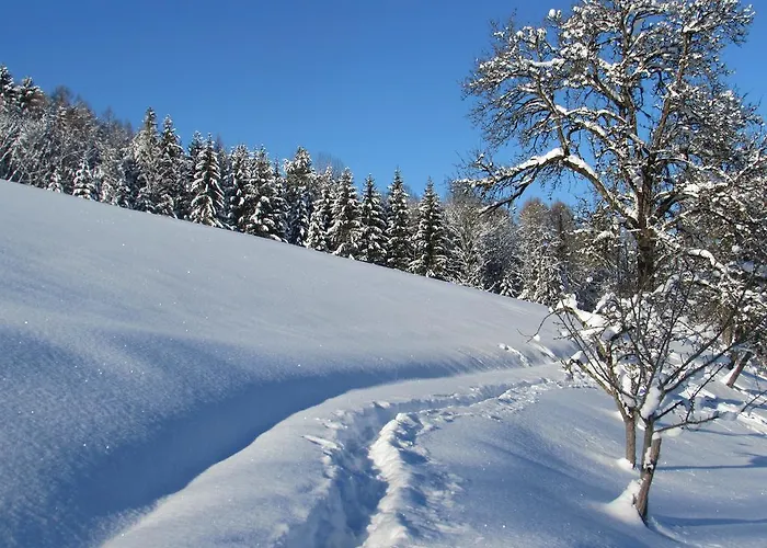 בית חווה Breitenbaumer ספיטל אם פיהרן