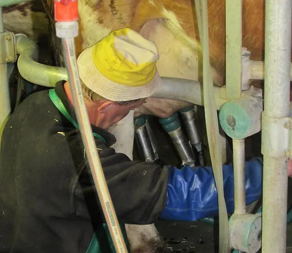 בית חווה Breitenbaumer