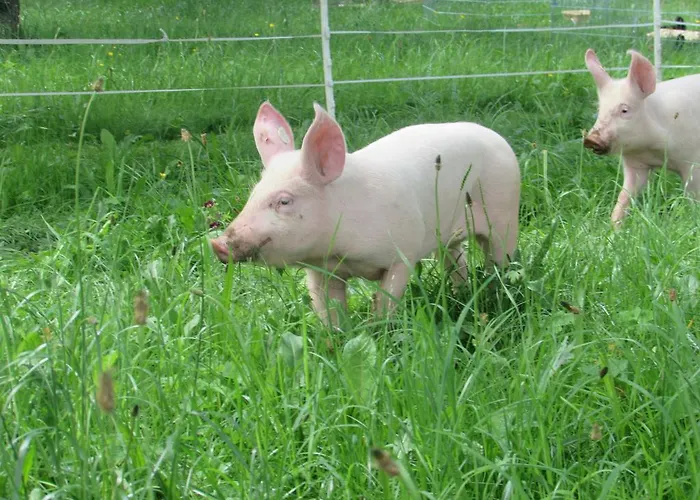 Breitenbaumer Farmház Spital am Pyhrn