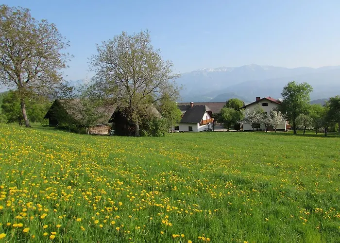 Breitenbaumer 스피탈 암 피른